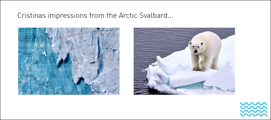 Cristina's impressions from from the Arctic Svalbard Veresan