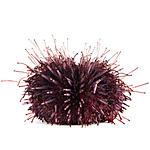 Strongylocentrotus purpuratus