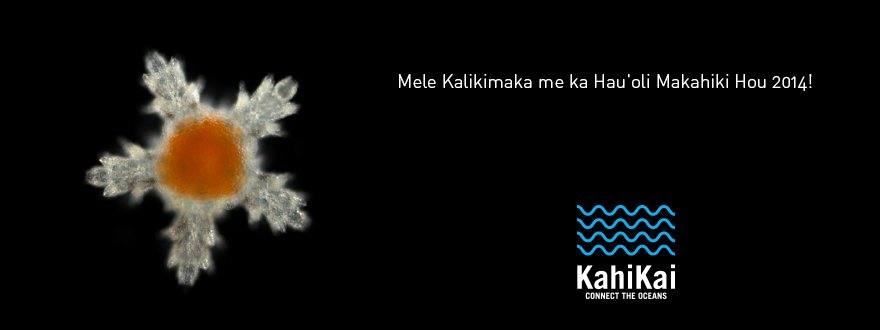 Merry Christmas and Happy New Year 2014