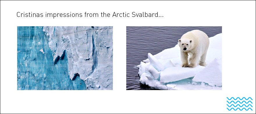 Cristina's impressions from from the Arctic Svalbard Veresan