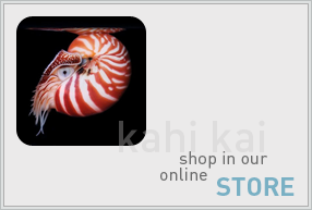 Donate towards my web hosting bill!