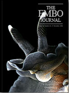 Embo Journal Cover