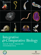 Journal of Comparative Biology Cover