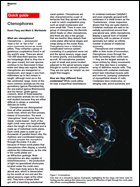 a. pang & martindale - quick guide to ctenophores. current biology