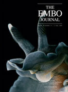 EMBO Journal Cover