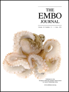 Embo Journal Cover