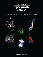 Journal of Experimental Biology